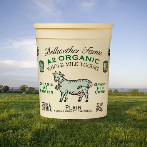 Bellwether Farms A2 Whole Milk Yogurt