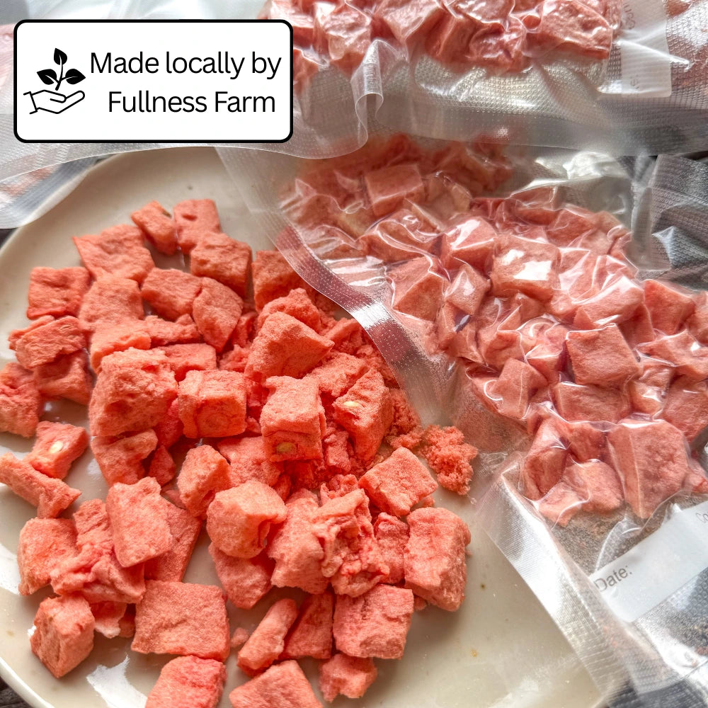 Freeze Dried Watermelon